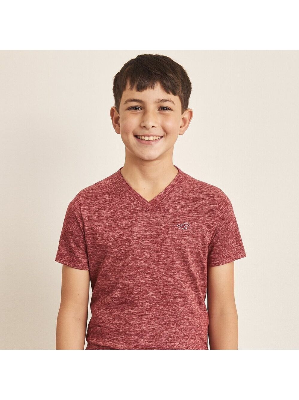 Hollister Heather Red V-Neck Tee Shirt Boys Size L | Classic Soft Short Sleeve